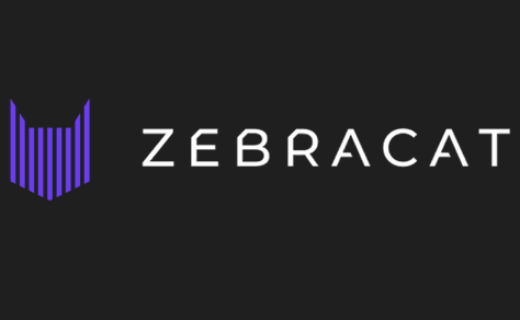 Experience Direct Control and Quick Turn around with Zebracat